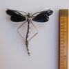 Art Nouveau Sterling Silver Thomas L Mott Butterfly Wing Dragonfly Brooch
