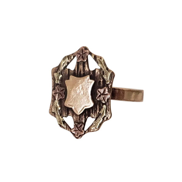 Circa 1860 Gold-Filled Signet Shield Ring with Applied Rose and Green Gold Accents